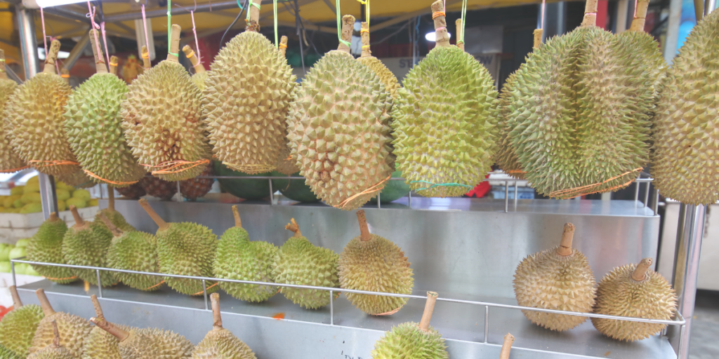 16 Buah-buahan Malaysia