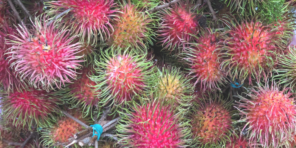 16 Buah-buahan Malaysia